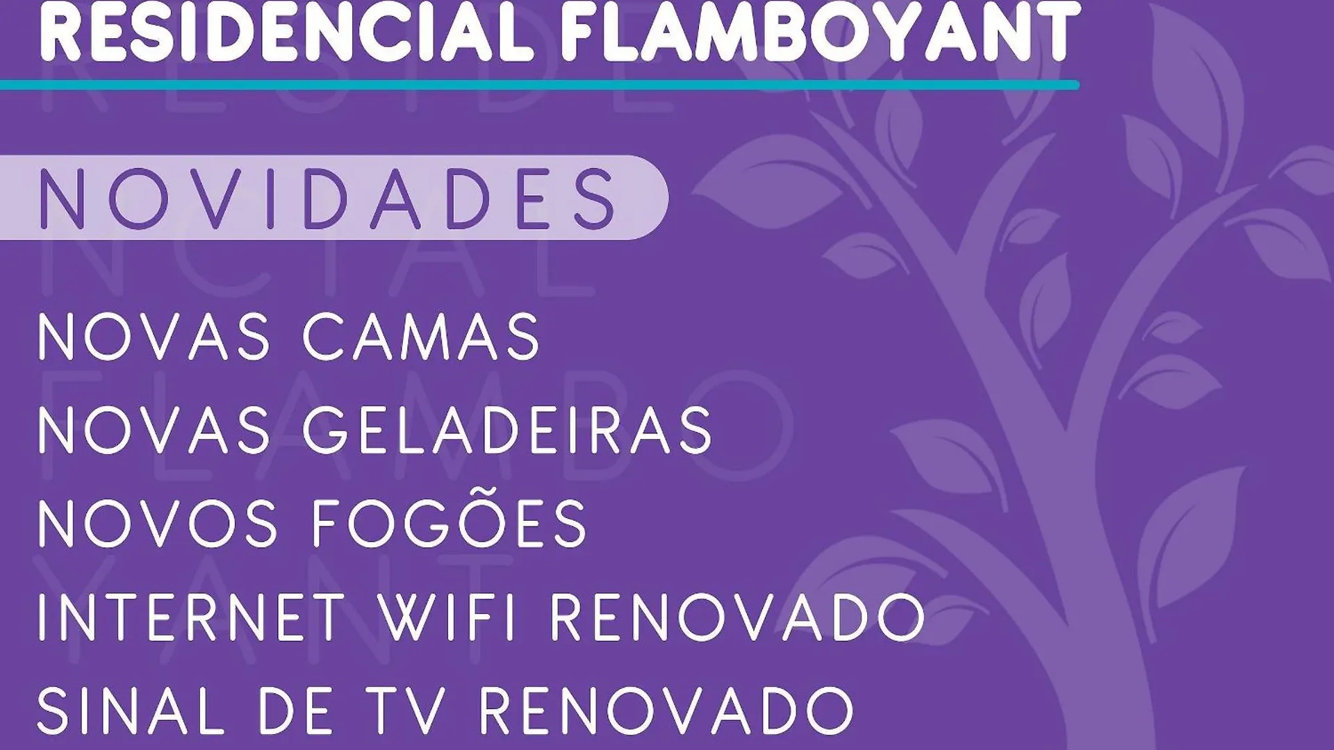 公寓 Flamboyant Apartamentos 邦比尼亚斯